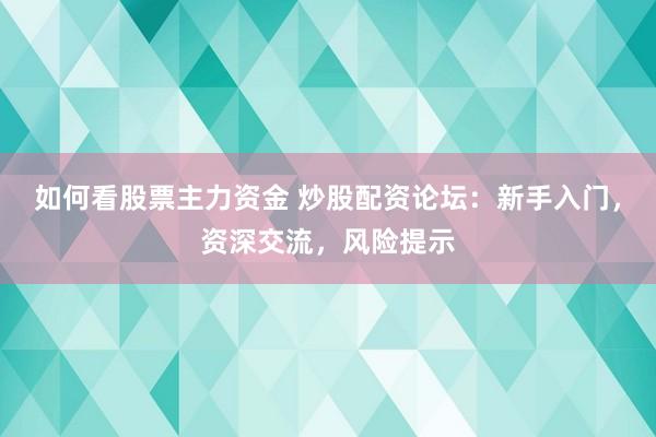 如何看股票主力资金 炒股配资论坛：新手入门，资深交流，风险提示
