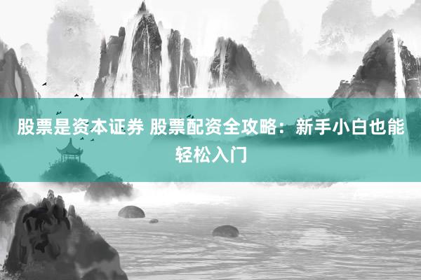 股票是资本证券 股票配资全攻略：新手小白也能轻松入门